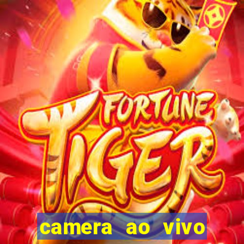 camera ao vivo terminal vila nova cachoeirinha