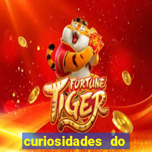 curiosidades do egito atual