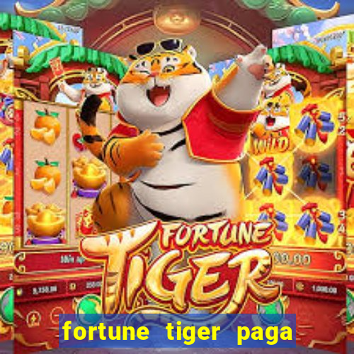 fortune tiger paga de madrugada