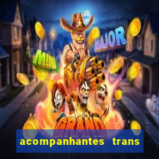 acompanhantes trans porto seguro