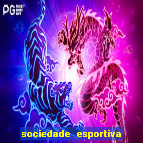 sociedade esportiva palmeiras x botafogo futemax