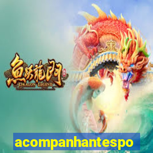 acompanhantesportovelho