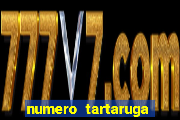 numero tartaruga jogo do bicho