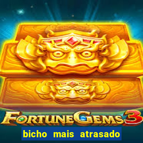 bicho mais atrasado na bahia