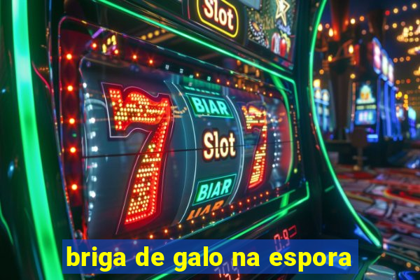 briga de galo na espora
