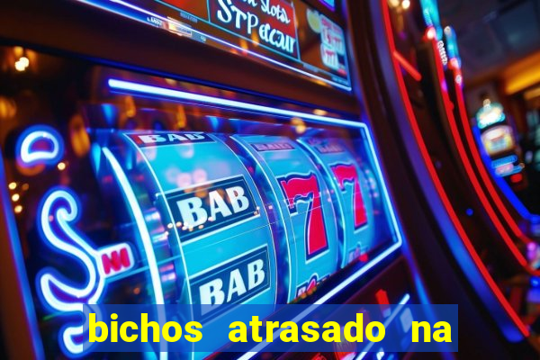 bichos atrasado na loteria dos sonhos